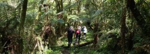 foto-chacara-trilha-02